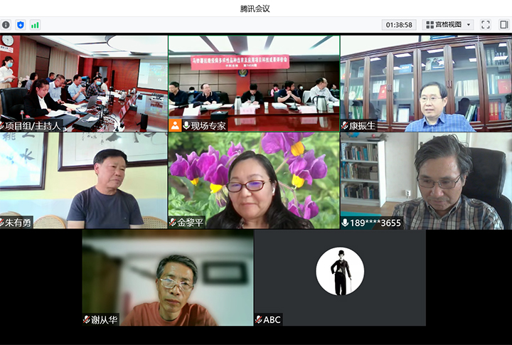 马铃薯抗晚疫病多样性品种选育及应用 xiao.jpg